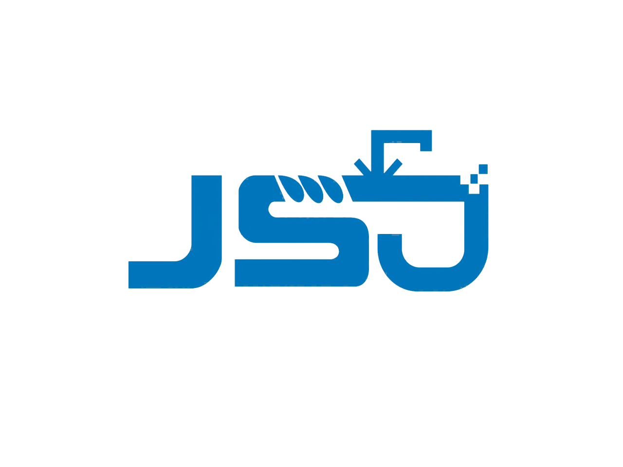 OEM / ODM 2 JSD logo图片1